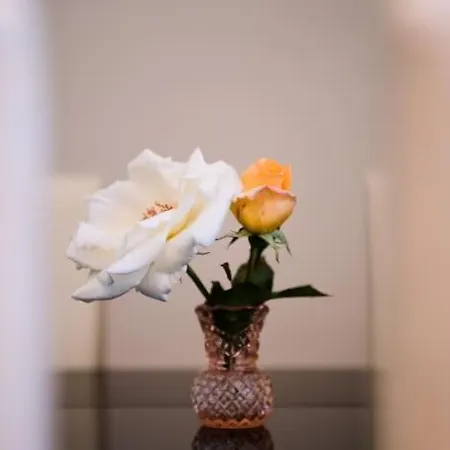 Apartment Stylish Modern Studio - Minutes Away From Parliame Budapest